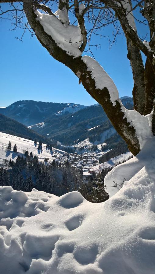 Das Hochkonig Dienten am Hochkönig Buitenkant foto