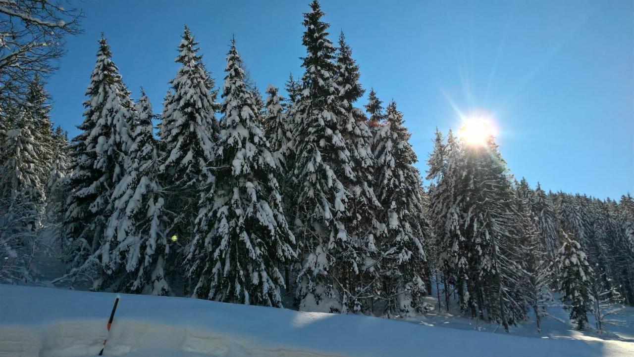 Das Hochkonig Dienten am Hochkönig Buitenkant foto