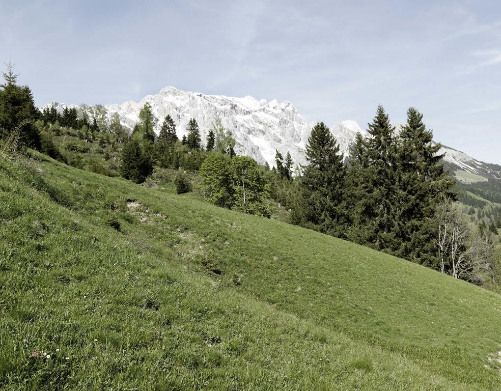 Das Hochkonig Dienten am Hochkönig Buitenkant foto