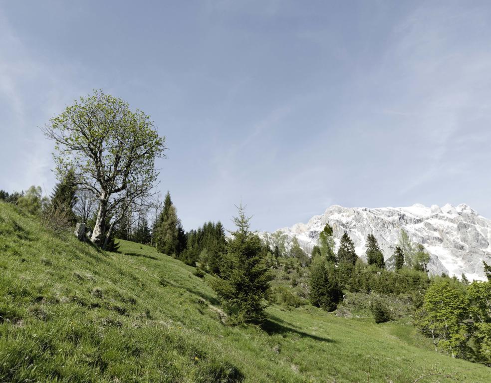 Das Hochkonig Dienten am Hochkönig Buitenkant foto