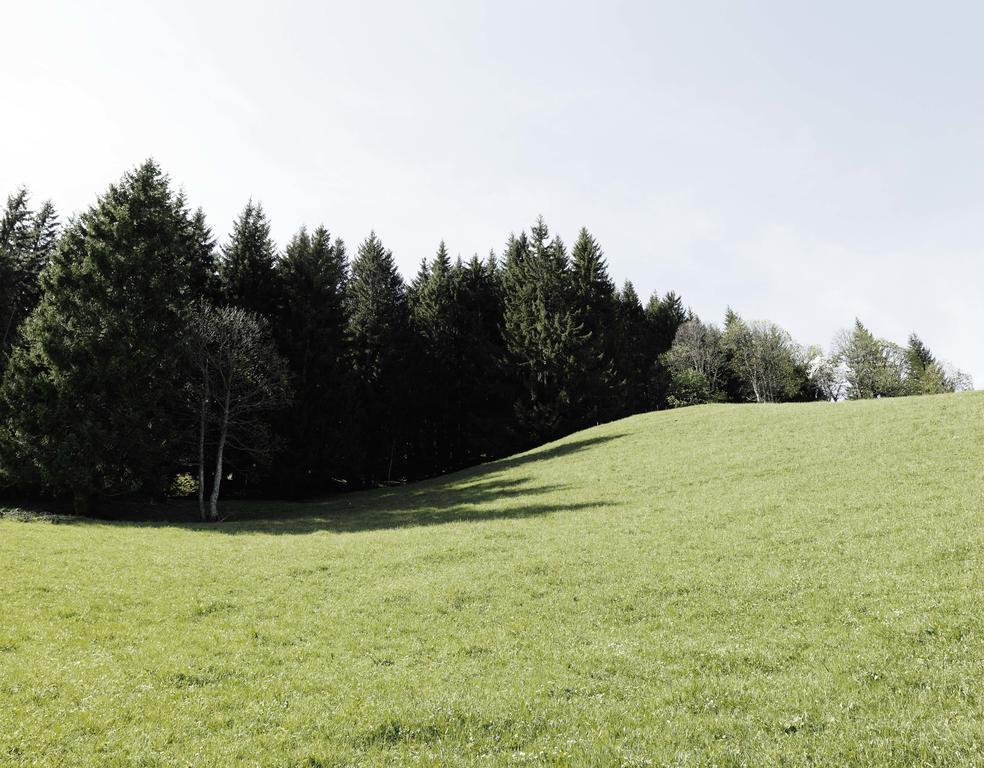 Das Hochkonig Dienten am Hochkönig Buitenkant foto