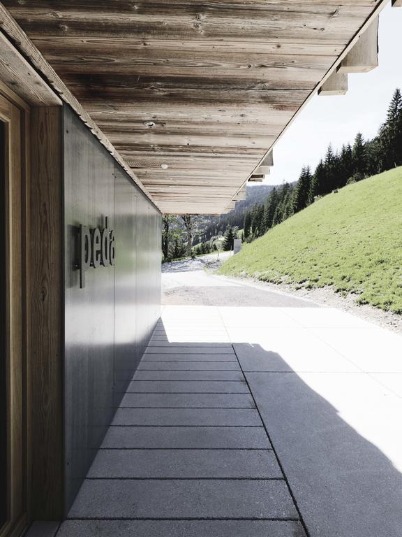 Das Hochkonig Dienten am Hochkönig Kamer foto